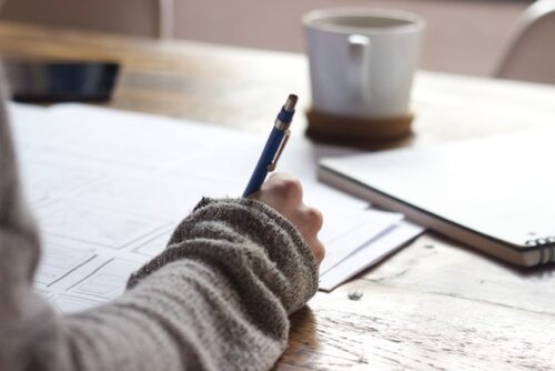 Book Writing and Publishing Program - Editor